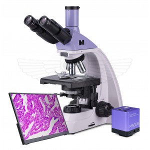 Микроскоп биологический цифровой MAGUS Bio D250T LCD