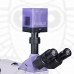 Микроскоп металлографический цифровой MAGUS Metal D650 BD