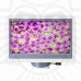 Микроскоп цифровой Levenhuk D85L LCD