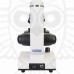 Микроскоп Levenhuk Discovery Femto Polar с книгой