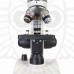 Микроскоп Levenhuk Discovery Femto Polar с книгой