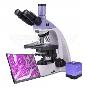 Микроскоп биологический цифровой MAGUS Bio D250TL LCD