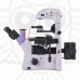 Микроскоп люминесцентный инвертированный MAGUS Lum V500