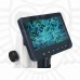 Микроскоп цифровой Levenhuk Discovery Artisan 512