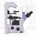 Микроскоп биологический инвертированный цифровой MAGUS Bio VD350 LCD