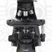Микроскоп Levenhuk 850B, бинокулярный