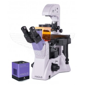 Микроскоп люминесцентный инвертированный цифровой MAGUS Lum VD500